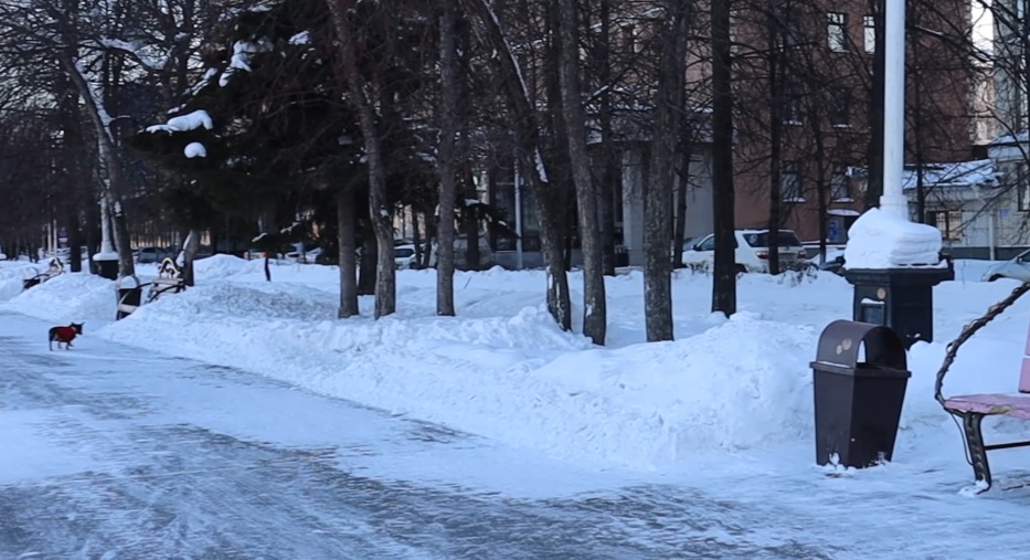 Kemerovo City