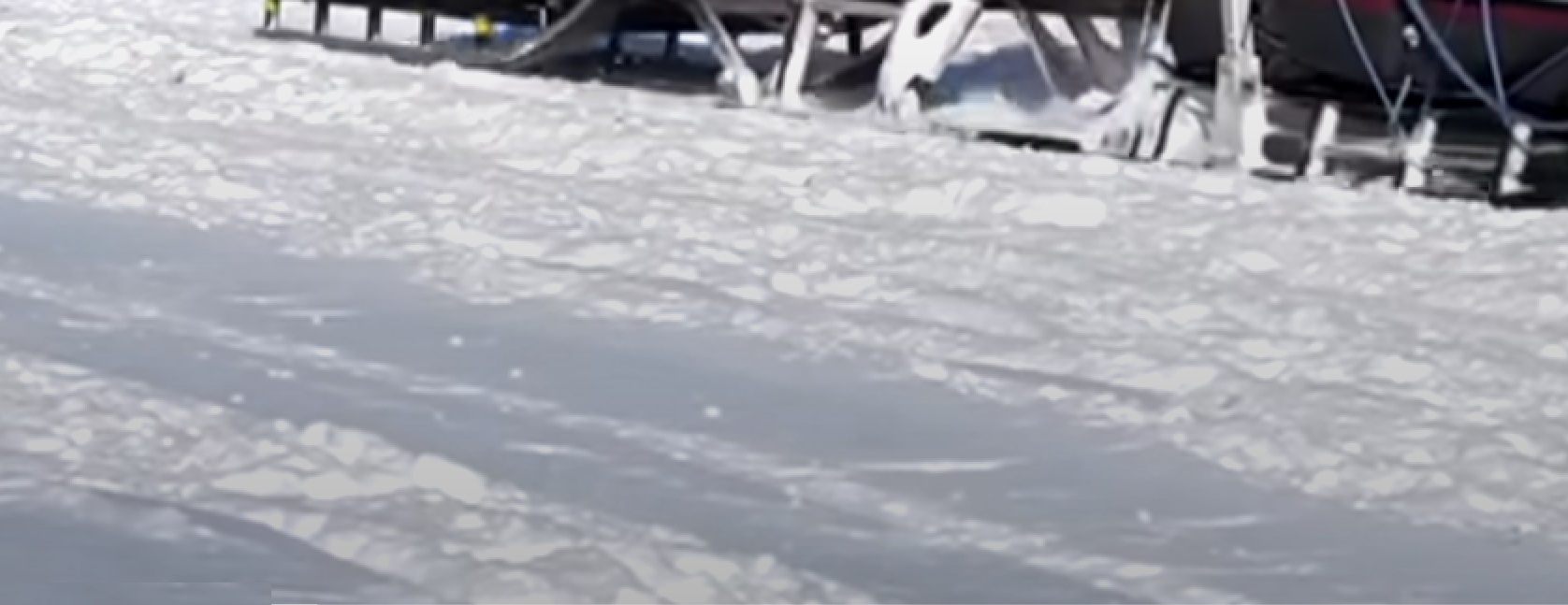 Dog Sleds in Russia