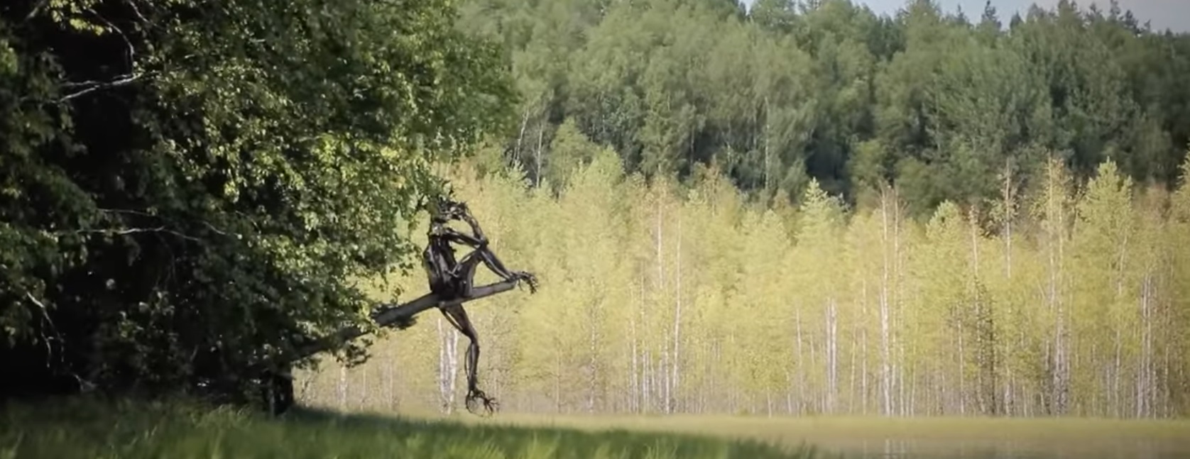 Kenozersky National Park