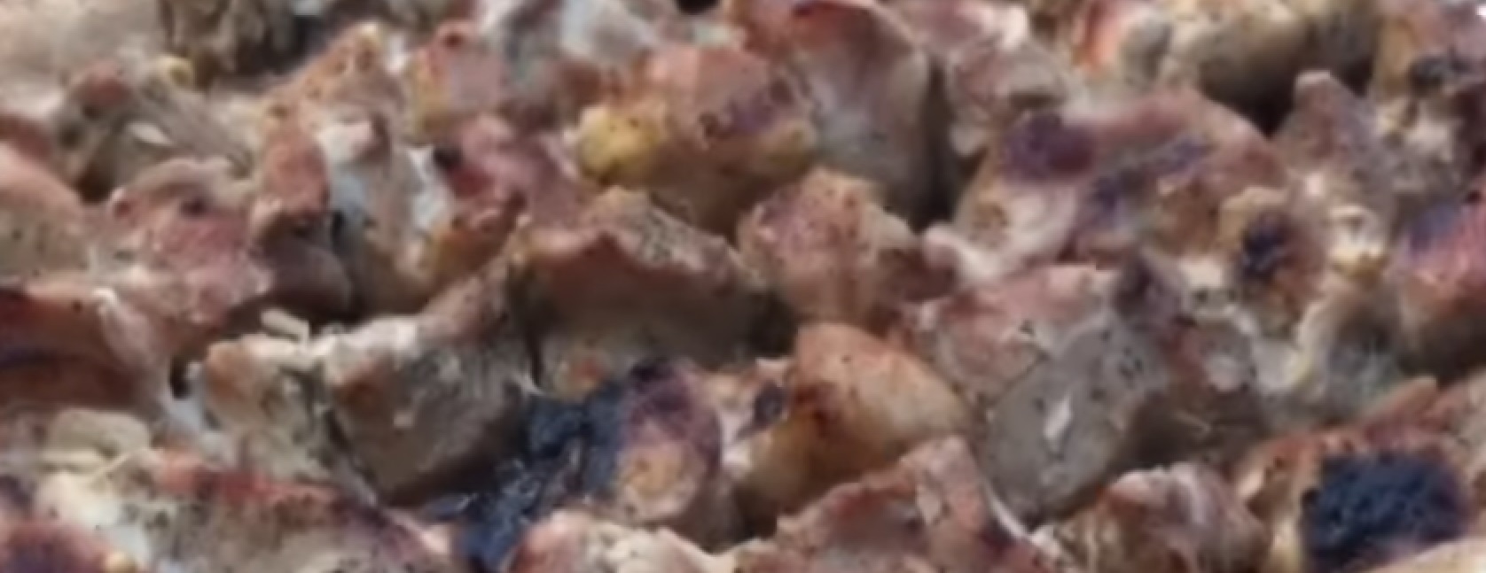 Shashlik Food